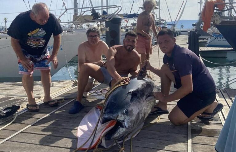 Fuengirola: 4h Trolling Fishing Trip with Snacks and Drinks - Detailed Review of the Fuengirola Trolling Fishing Experience