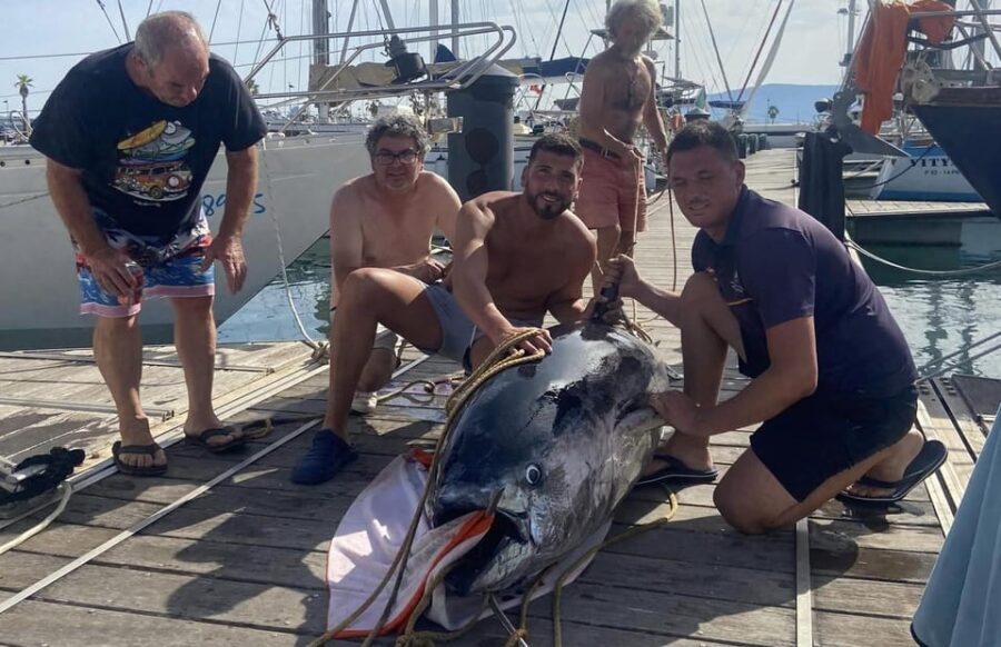 Fuengirola: 4h Trolling Fishing Trip with Snacks and Drinks - Detailed Review of the Fuengirola Trolling Fishing Experience