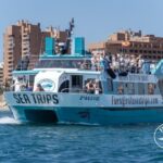 Fuengirola: Catamaran Tour to Spot Dolphins - Key Points