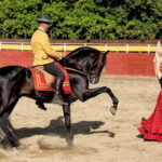 Fuengirola: Spanish Horse Show with Optional Dinner/Flamenco - Who Would Enjoy This Tour Most?