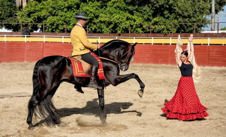 Fuengirola: Spanish Horse Show with Optional Dinner/Flamenco - Who Would Enjoy This Tour Most?