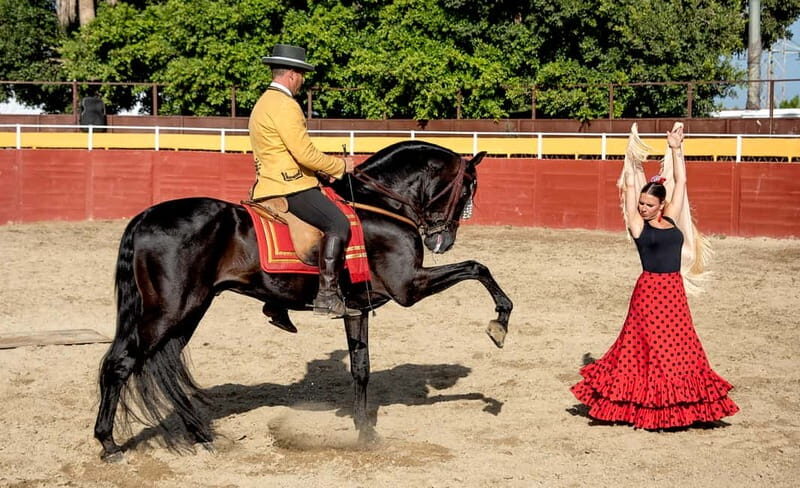 Fuengirola: Spanish Horse Show with Optional Dinner/Flamenco - Who Would Enjoy This Tour Most?