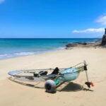 Fuerteventura: Transparent Electric Kayaks with Guide - Authentic Experiences from Reviews