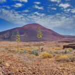 Fuerteventura: Trekking Tour Through the North of the Island - The Guides and Their Impact