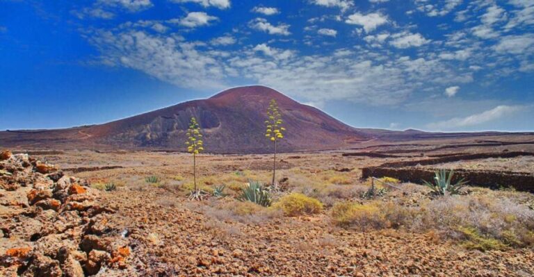 Fuerteventura: Trekking Tour Through the North of the Island - The Guides and Their Impact