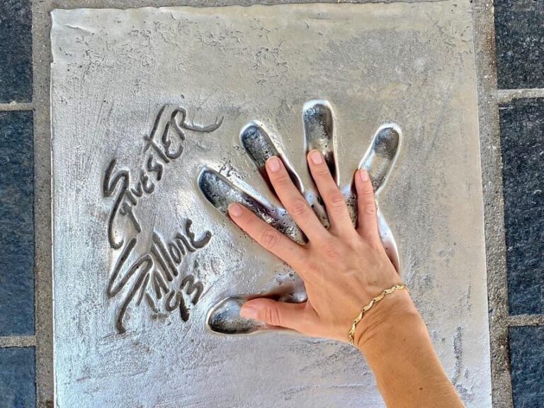 Full day French Riviera Panorama Tour - Who Is This Tour Best Suited For?