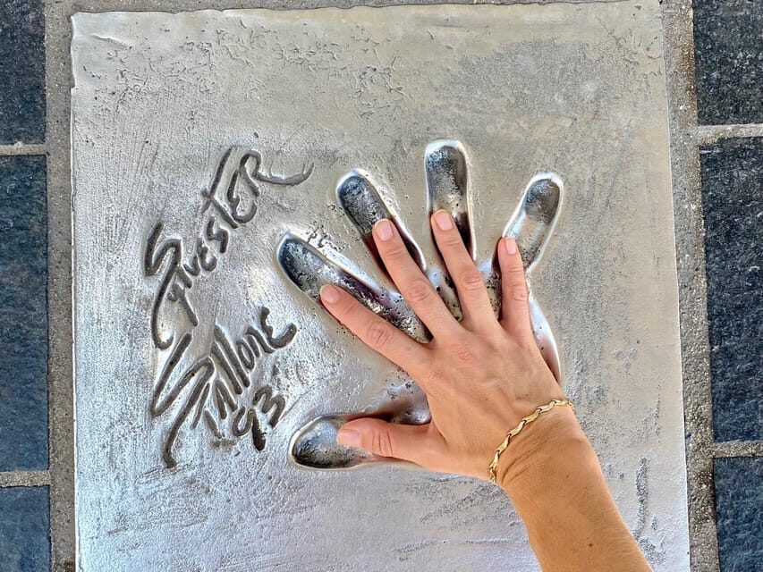 Full day French Riviera Panorama Tour - Who Is This Tour Best Suited For?