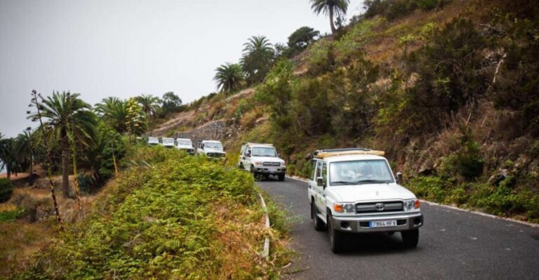 Full-Day Gomera Jeep Safari Excursion from Arona - Practicalities and What to Expect