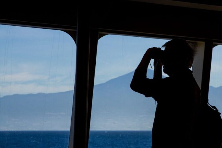 Full-Day Gomera Jeep Safari from Puerto de La Cruz - Practical Details and Tips