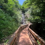 Full Day Tour from Batumi to Waterfalls - The Itinerary Breakdown