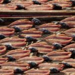 Full Day Tour - Transfer to Porto from Lisbon with Stops - Transport and Comfort