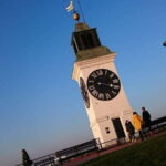 Full day wine &honey tour - Novi Sad and Sremski Karlovci - Authentic and Valuable Experiences