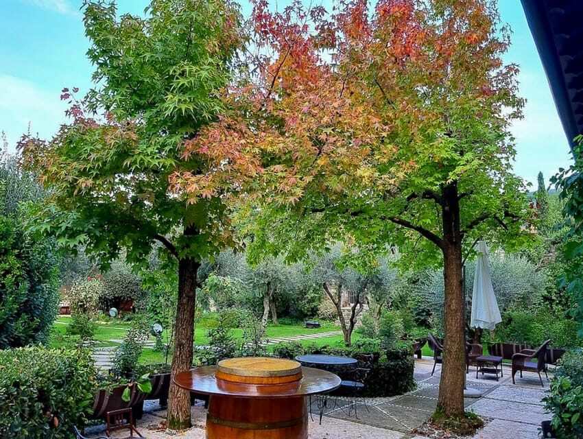 Fumane: Valpolicella wine tasting tour in a medieval court - The Experience in Detail