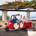 Funchal: Best Viewpoints Guided Tuk Tuk Tour - Final Thoughts