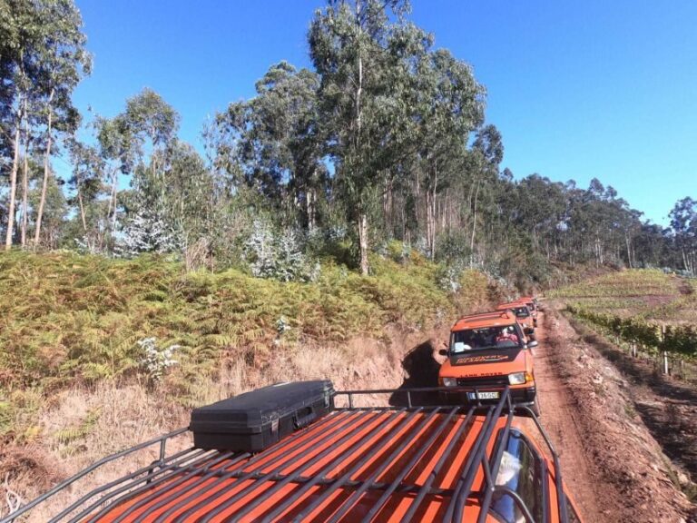 Funchal: Câmara Lobos & Girão Sea Cliff Half-Day Jeep Tour - Detailed Breakdown of the Itinerary