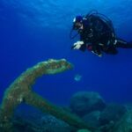 Funchal: Certified Scuba Diving, Guided Tour - The Itinerary Breakdown