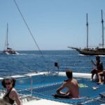 Funchal: Dolphin and Whale-watching Catamaran Tour - Key Points