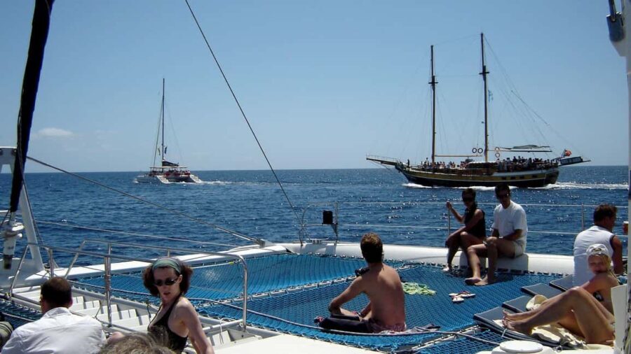 Funchal: Dolphin and Whale-watching Catamaran Tour - Key Points