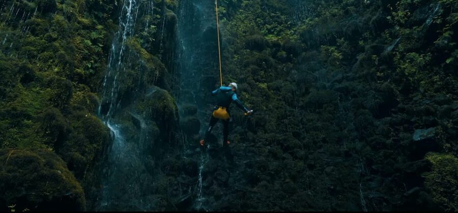 Funchal: Half-Day Beginner-Friendly Canyoning Experience - Why This Tour Is Worth It