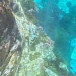 Funchal: Kayak and Snorkel Tour to Garajau NR - Who Should Book This Tour?