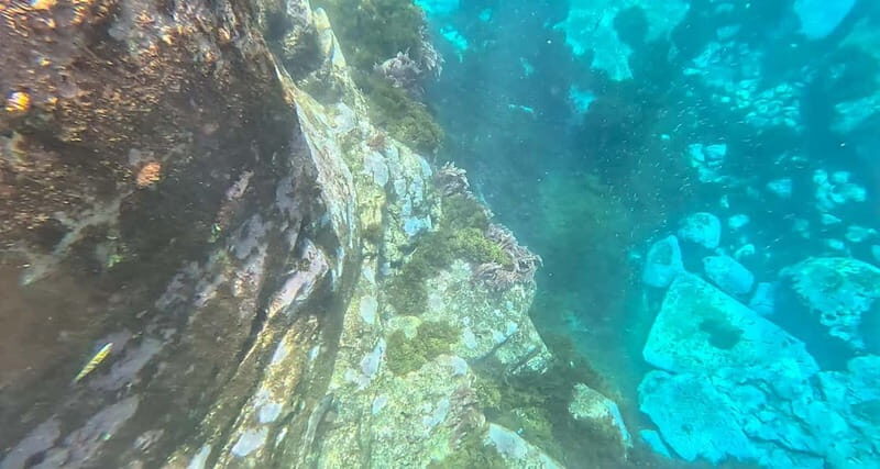 Funchal: Kayak and Snorkel Tour to Garajau NR - Who Should Book This Tour?