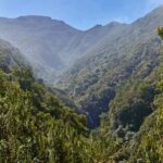 Funchal: Levada Caldeirão Verde Waterfalls and Forests Hike - The Itinerary in Detail