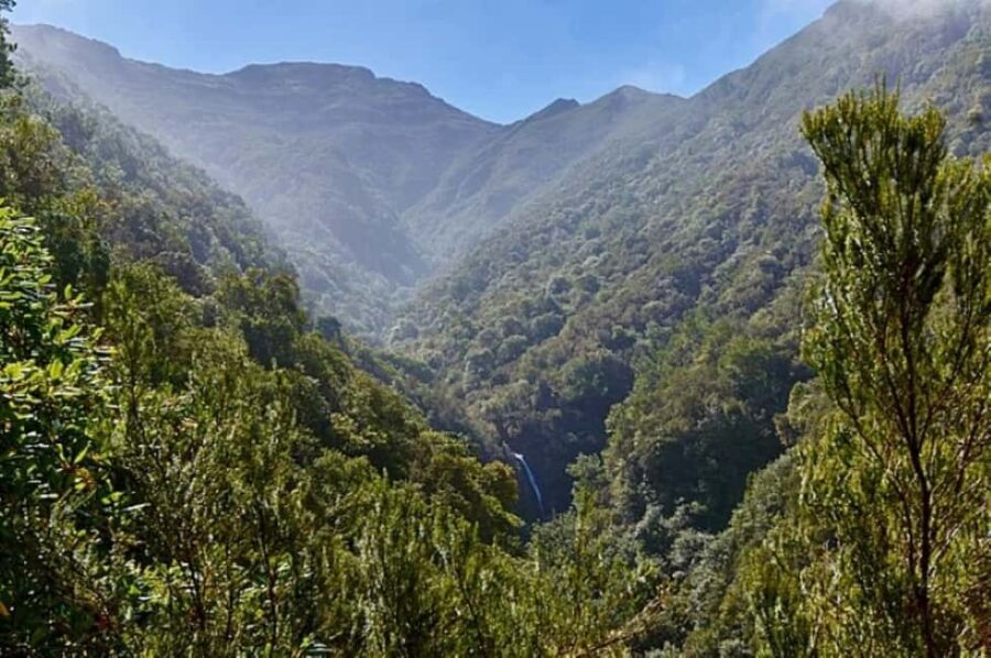 Funchal: Levada Caldeirão Verde Waterfalls and Forests Hike - The Itinerary in Detail