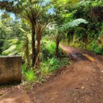 Funchal: Madeira Island 4x4 Private Customizable Tour - The Itinerary: What You Can Expect