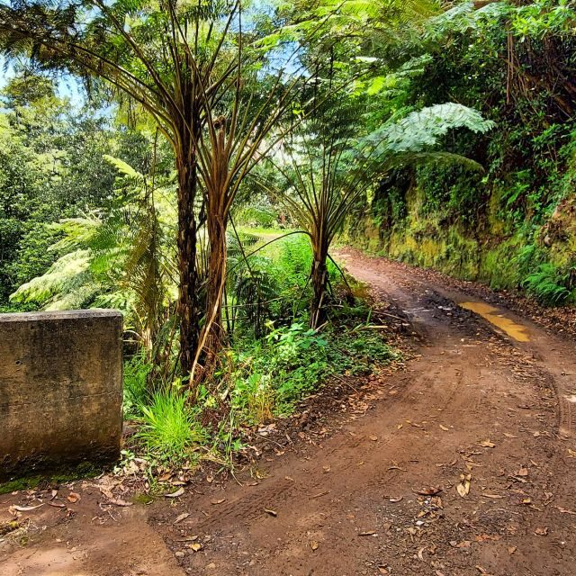 Funchal: Madeira Island 4x4 Private Customizable Tour - The Itinerary: What You Can Expect