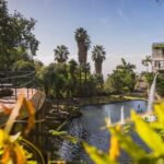 Funchal: Monte Tropical Garden & Toboggan Ride by Tuk Tuk - Price and Value Analysis