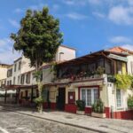 Funchal Old Town 1-Hour Tour by Tuk Tuk - The Practicalities