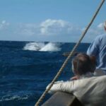 Funchal: Pirate Ship Cruise with Wine and Honey Cake Tasting - What to Expect: A Well-Rounded 3-Hour Adventure