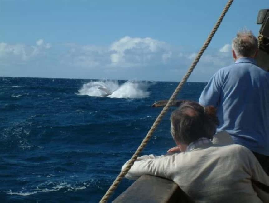 Funchal: Pirate Ship Cruise with Wine and Honey Cake Tasting - What to Expect: A Well-Rounded 3-Hour Adventure