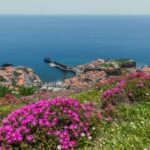 Funchal: Private Tuk-Tuk Tour to Cabo Girão Cliff - Skywalk - A Closer Look at the Tour Itinerary and Highlights