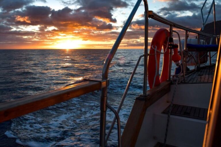 Funchal: Sunset Sailing Tour - A Closer Look at the Experience
