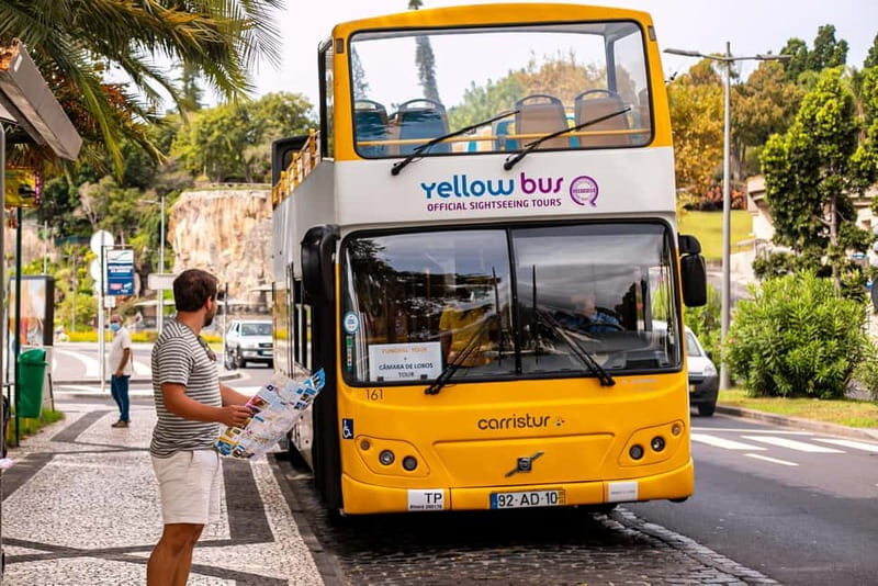 Funchal:Hop-on Hop-off Bus & Whale & Dolphin boat Excursion - Frequently Asked Questions