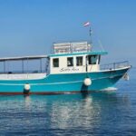 Funtana: Dolphin safari, drinks included - Who Should Book This Tour?