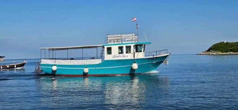 Funtana: Dolphin safari, drinks included - Who Should Book This Tour?