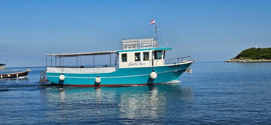 Funtana: Dolphin safari, drinks included - Who Should Book This Tour?