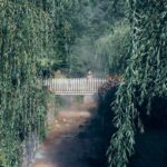 Furnas: Night-Time Experience with Thermal baths and Dinner - Practical Details and Tips