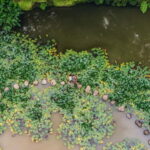 Furnas & Terra Nostra Gardens Biologist-guided Tour +lunch - What Makes This Tour Stand Out?