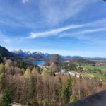 Füssen: Bike Rental to Neuschwanstein Castle - The Sum Up
