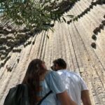 Garni, Geghard, and more: Gastro and Cultural Tour - Who Will Love This Tour?