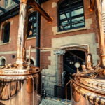 Gdansk: Brewery Tour & Beer Tasting - Who Would Love This Tour?