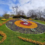 Geneva: Food Group Walking Tour with Full Meal - The Practicalities & What to Expect