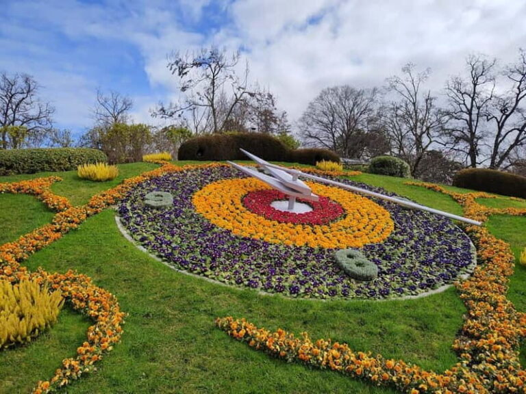 Geneva: Food Group Walking Tour with Full Meal - The Practicalities & What to Expect