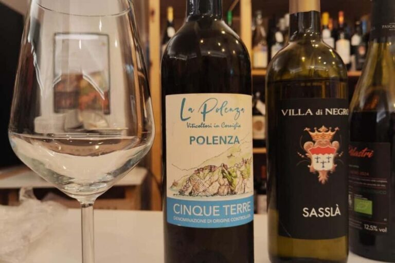 Genoa: Wine Tasting with Pesto, Focaccia Near Columbus House - Why This Tour Works for Different Travelers