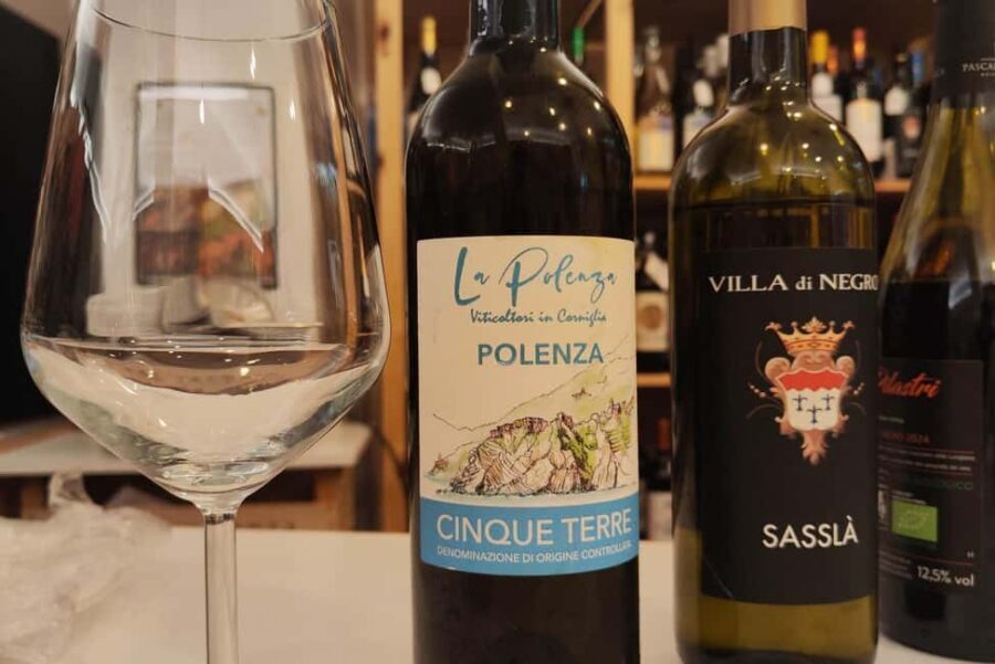 Genoa: Wine Tasting with Pesto, Focaccia Near Columbus House - Why This Tour Works for Different Travelers