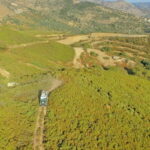 Georgioupolis Safari Discover The Cretan Culture - Who Should Consider This Tour?