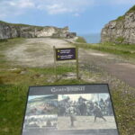 Giant's Causeway & Belfast city Private tour - Transportation and Guides